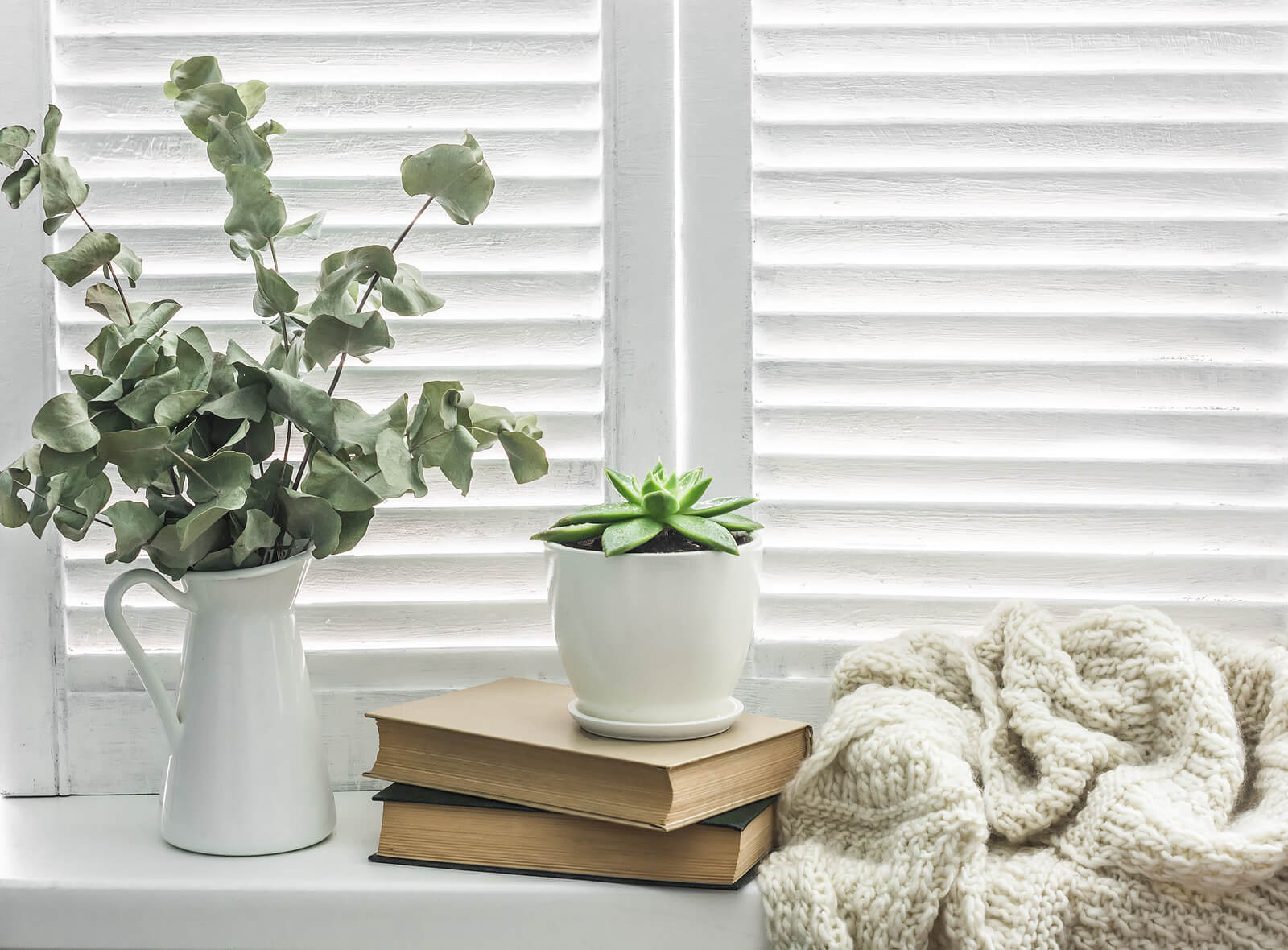 A set of plants sit on a windowsill. Looking to see what depth therapy in Houston, TX can do for you? Speak with a depth therapist in Texas to learn how online therapy is effective!