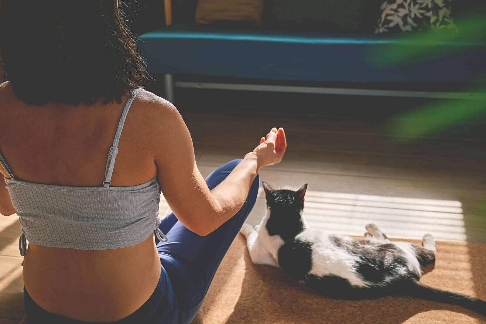 A woman sits down to do yoga on a mat inside with her cat beside her. Looking to learn more about depth psychotherapy in Texas? Our online psychotherapist can help you understand with depth therapy in Austin, TX. 